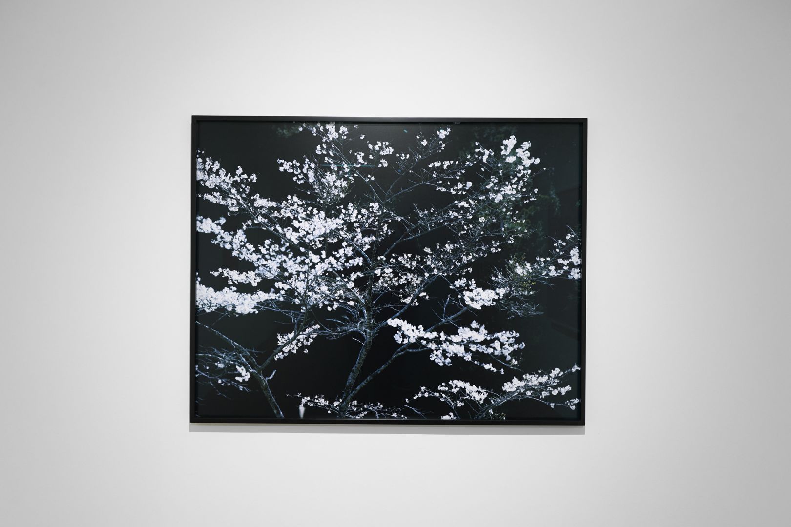   – Christophe Guye Galerie