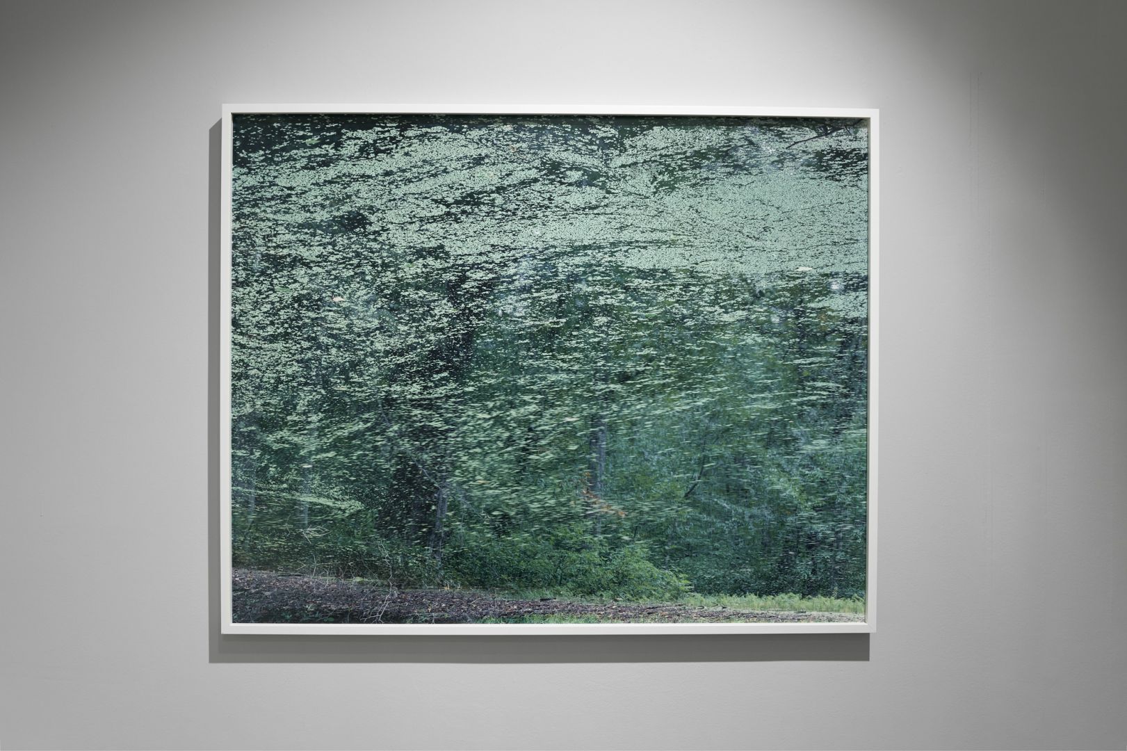   – Christophe Guye Galerie