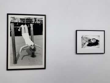   – Christophe Guye Galerie