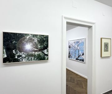   – Christophe Guye Galerie