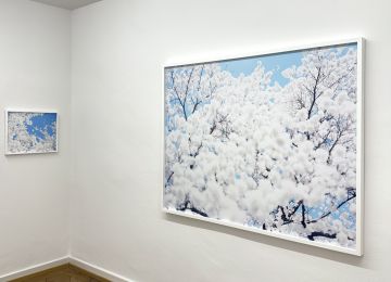   – Christophe Guye Galerie