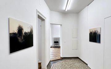   – Christophe Guye Galerie