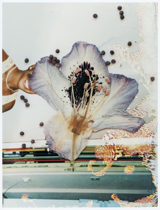 City as Garden – T3 Photo Festival Tokyo – Christophe Guye Galerie