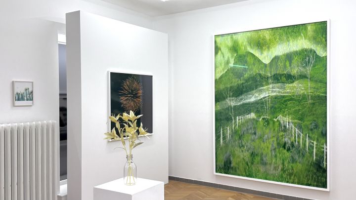 Fading into Fullness – Christophe Guye Galerie