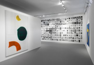  Installation Views – La Deuxième Chance 2011 – Christophe Guye Galerie