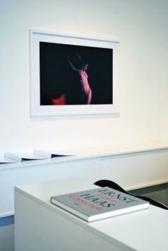  Installation Views – Ernst Haas Color Correction 2012 – Christophe Guye Galerie