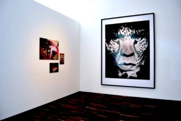  Installation Views – Icons of Tomorrow. Contemporary Fashion Photography 2012 – Christophe Guye Galerie