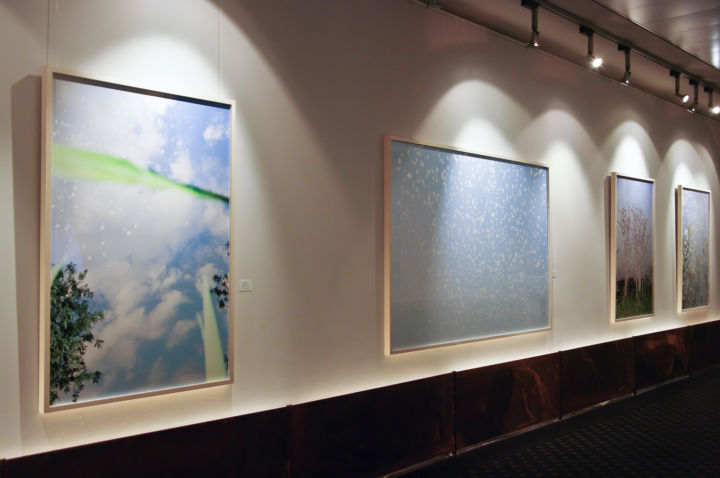 Tokyo Parrots – Yusurika – Moonlight – Christophe Guye Galerie