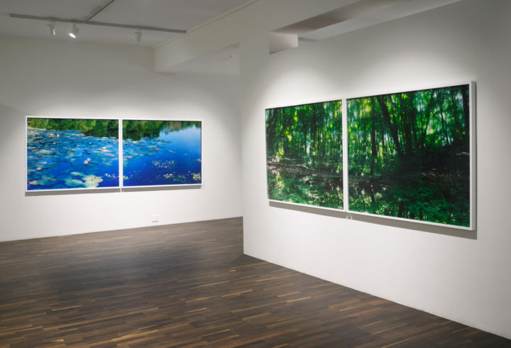 Water Mirror – Christophe Guye Galerie