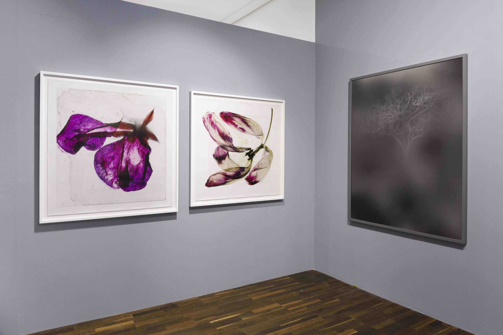 Christophe Guye Galerie Abstraktionen 1