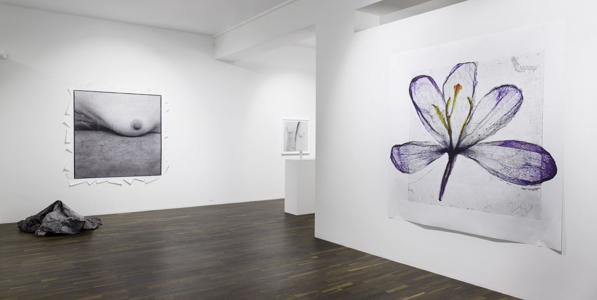 Christophe Guye Christophe Guye Galerie