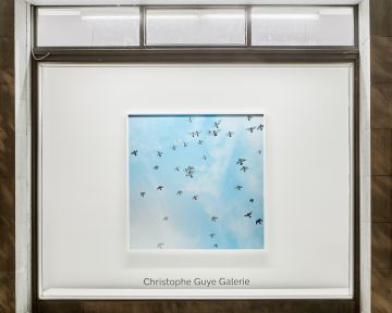  Christophe Guye Galerie Rinko Kawauchi A Retrospective Exhibition View 19 – Christophe Guye Galerie