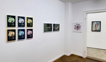   – Christophe Guye Galerie