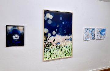   – Christophe Guye Galerie