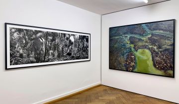   – Christophe Guye Galerie