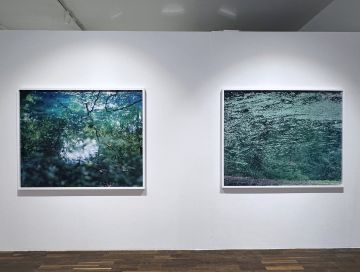   – Christophe Guye Galerie