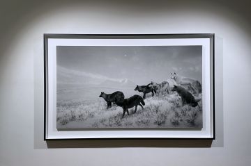   – Christophe Guye Galerie