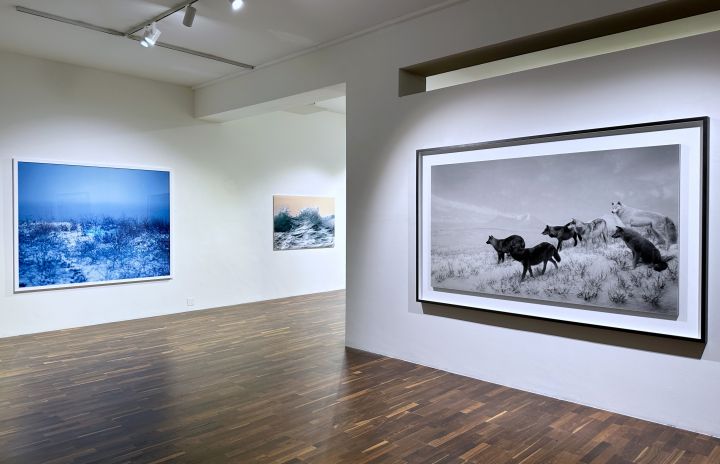 In Conversation: A Photographic Dialogue Between Japan and Korea – Christophe Guye Galerie