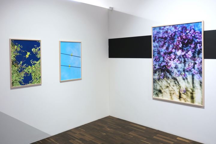 Christophe Guye Galerie Yoshinori Mizutani Exhibition View5