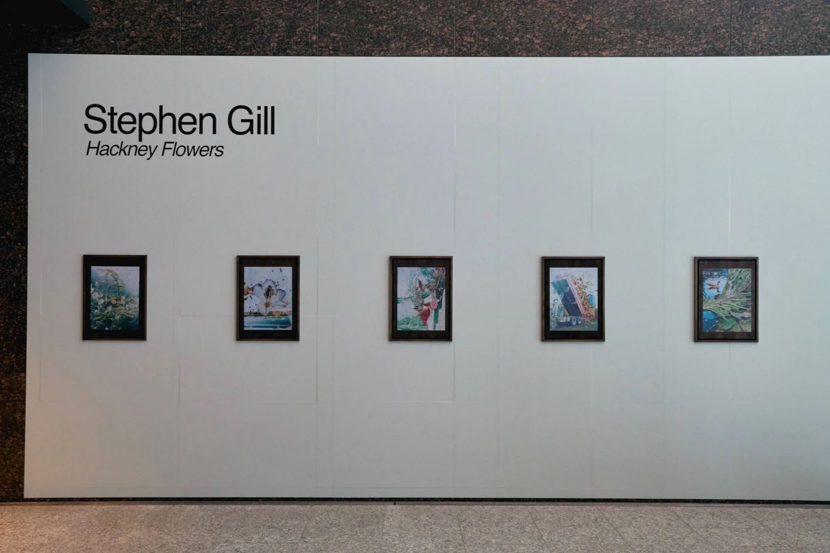 Christophe Guye Galerie Stephen Gill T3 Photo Festival Tokyo