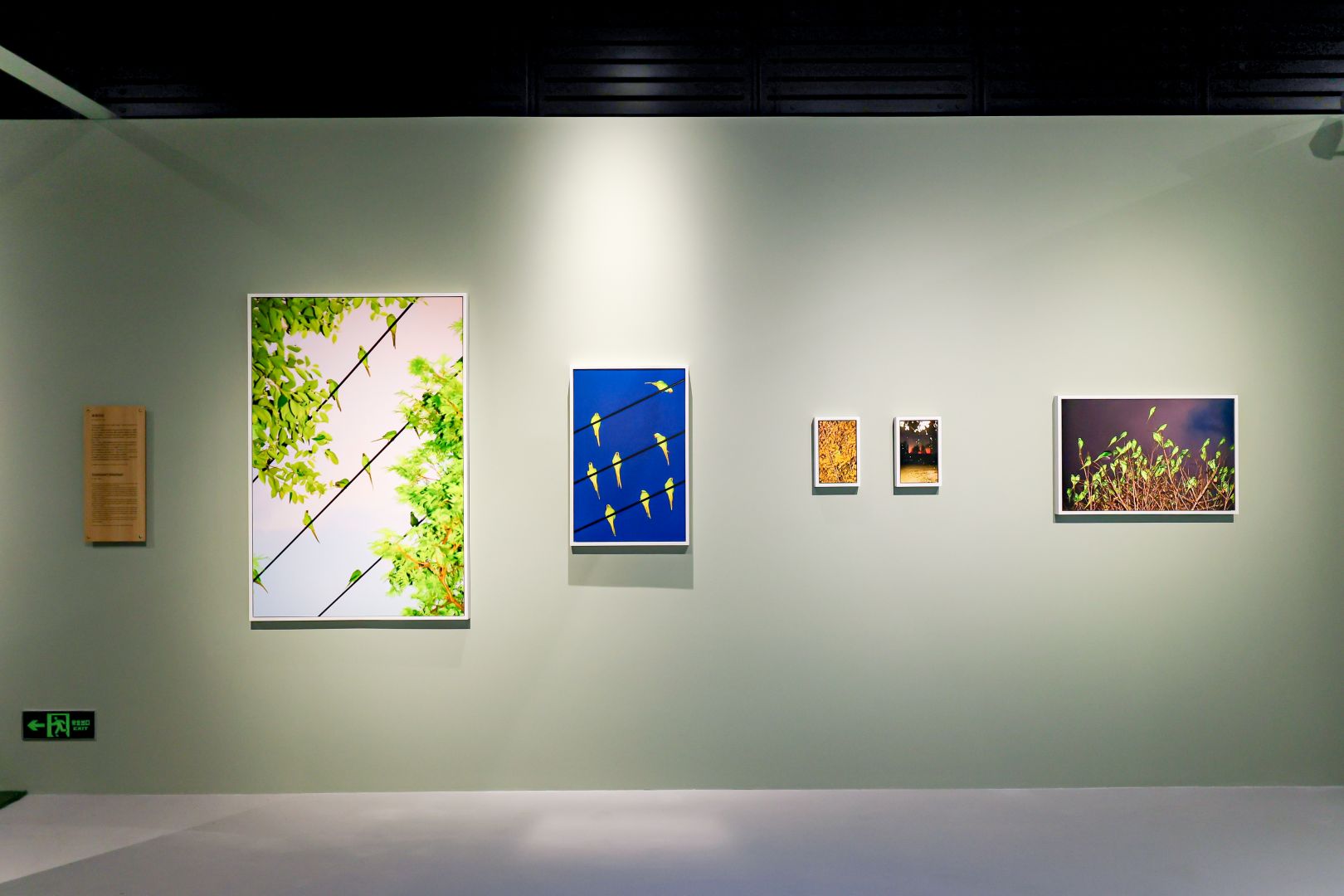 Christophe Guye Galerie Yoshinori The Pet Show 1