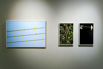   – Christophe Guye Galerie