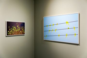   – Christophe Guye Galerie