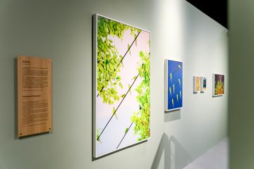   – Christophe Guye Galerie