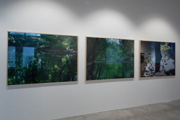   – Christophe Guye Galerie