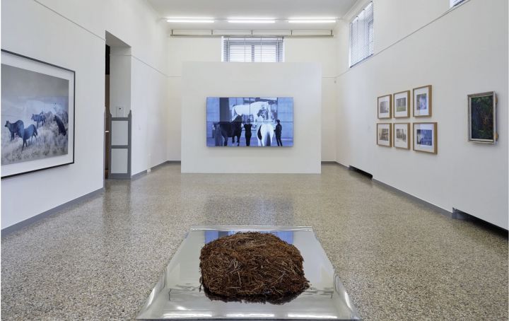 Luzia Hürzeler & Gäste – Was sich als Natur zeigt – Christophe Guye Galerie