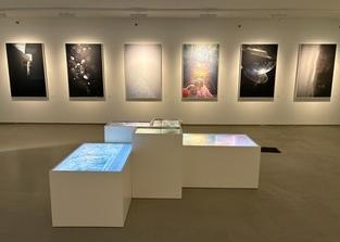   – Christophe Guye Galerie