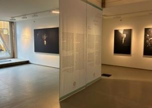   – Christophe Guye Galerie