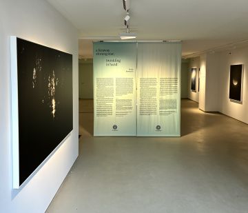   – Christophe Guye Galerie