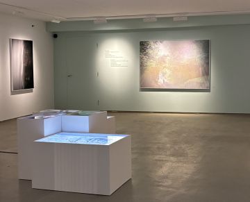   – Christophe Guye Galerie