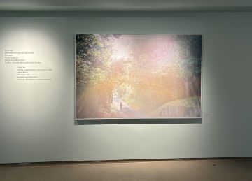   – Christophe Guye Galerie