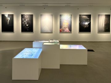   – Christophe Guye Galerie