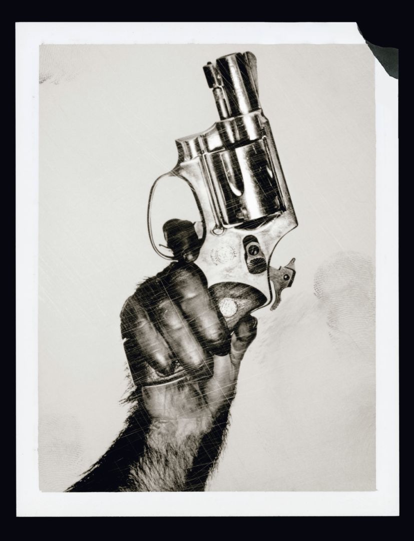   – Christophe Guye Galerie