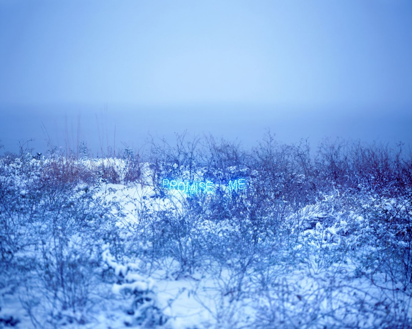   – Christophe Guye Galerie