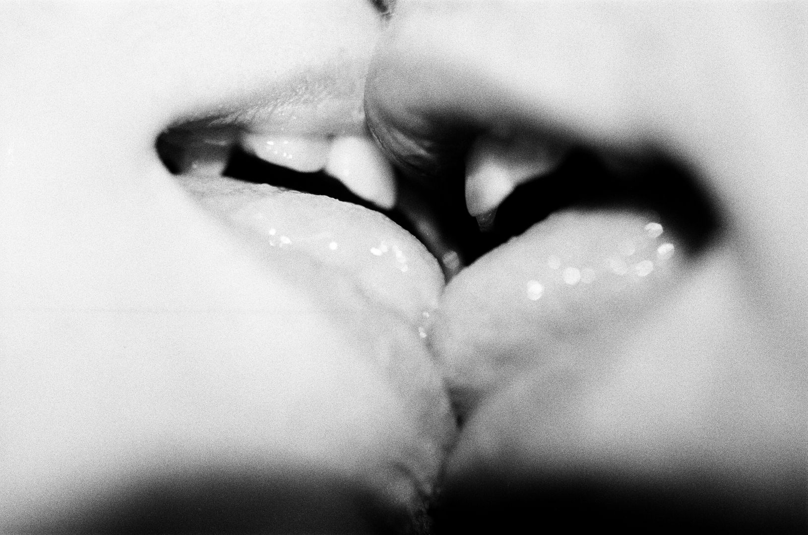   – Christophe Guye Galerie