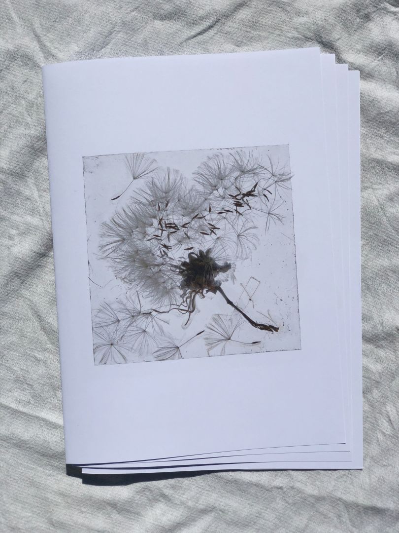 Brigitte Lustenberger  – Limited Edition Artist Zine – An Apparition of Memory – signed (10% off)