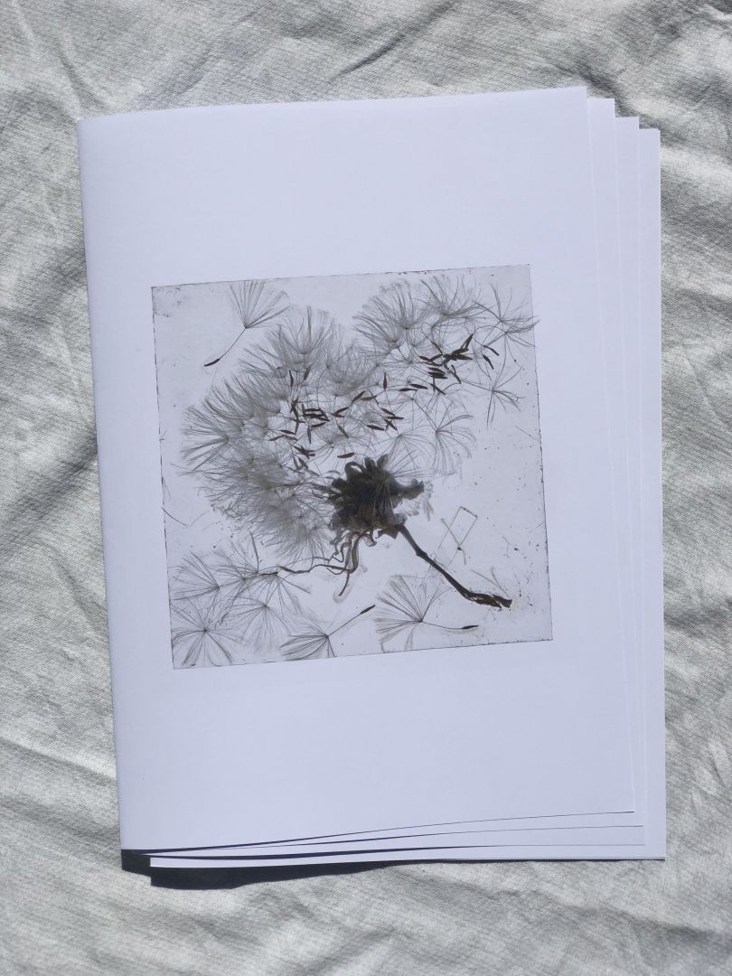 Brigitte Lustenberger – Limited Edition Artist Zine – An Apparition of Memory – signed