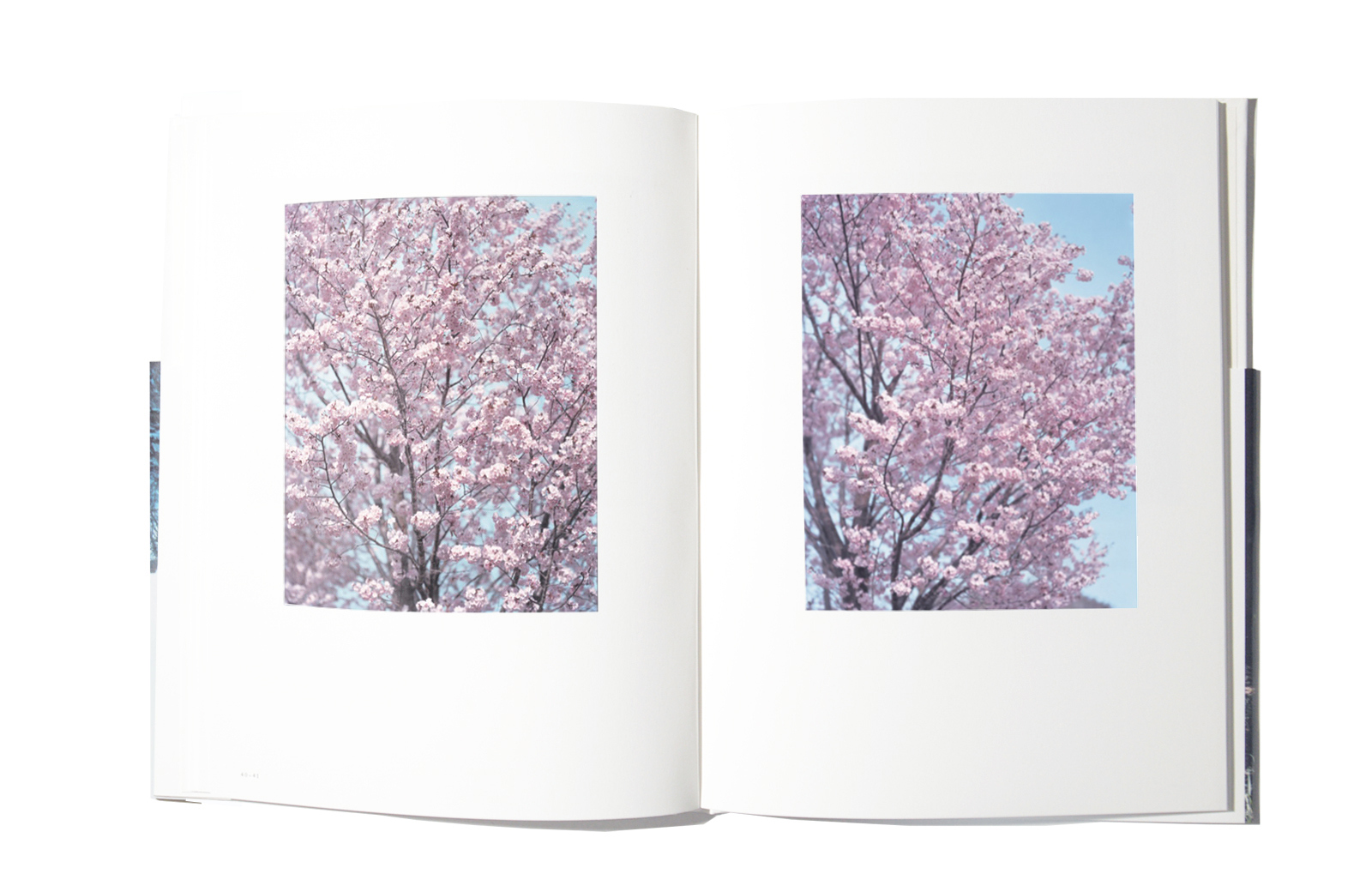 Risaku Suzuki – Winter to Spring – signiert
