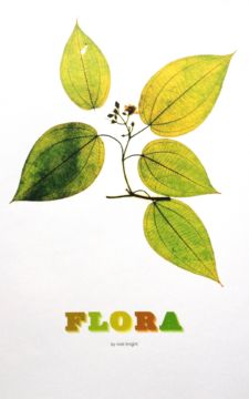 Nick Knight Flora 1