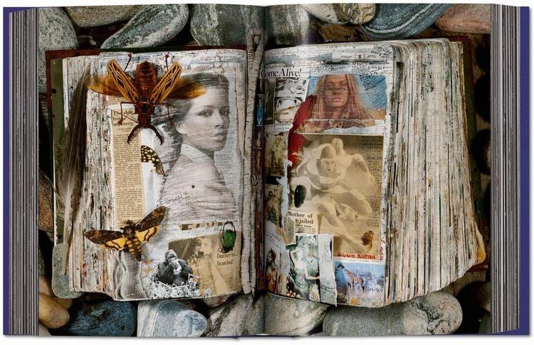 Peter Beard
