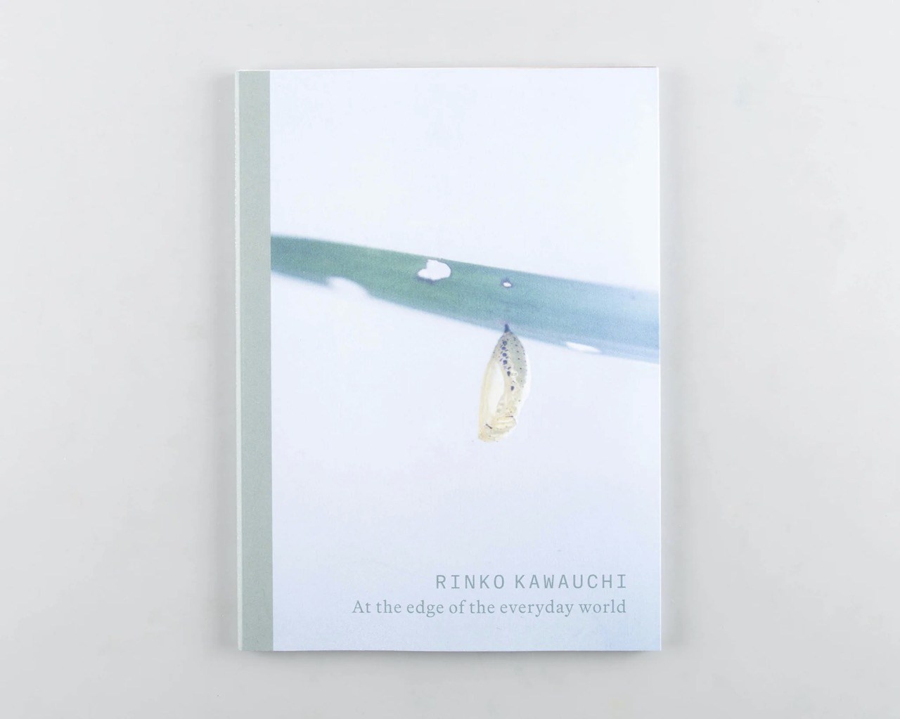 Rinko Kawauchi – At the edge of the everyday world