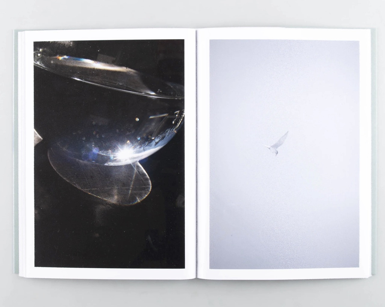 Rinko Kawauchi – At the edge of the everyday world