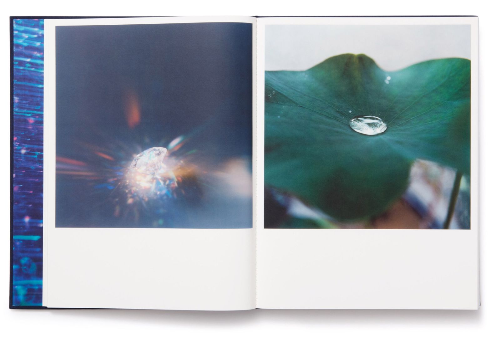 Rinko Kawauchi – Illuminance