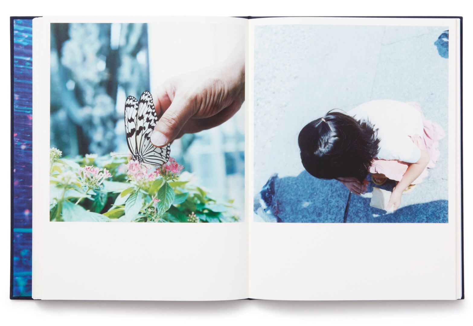 Rinko Kawauchi – Illuminance