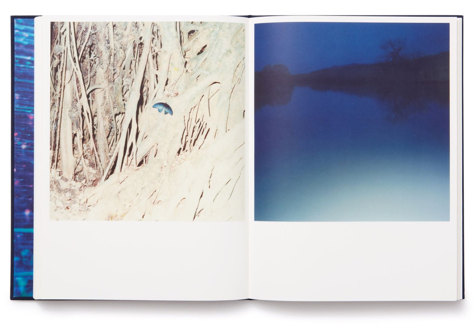 Rinko Kawauchi – Illuminance