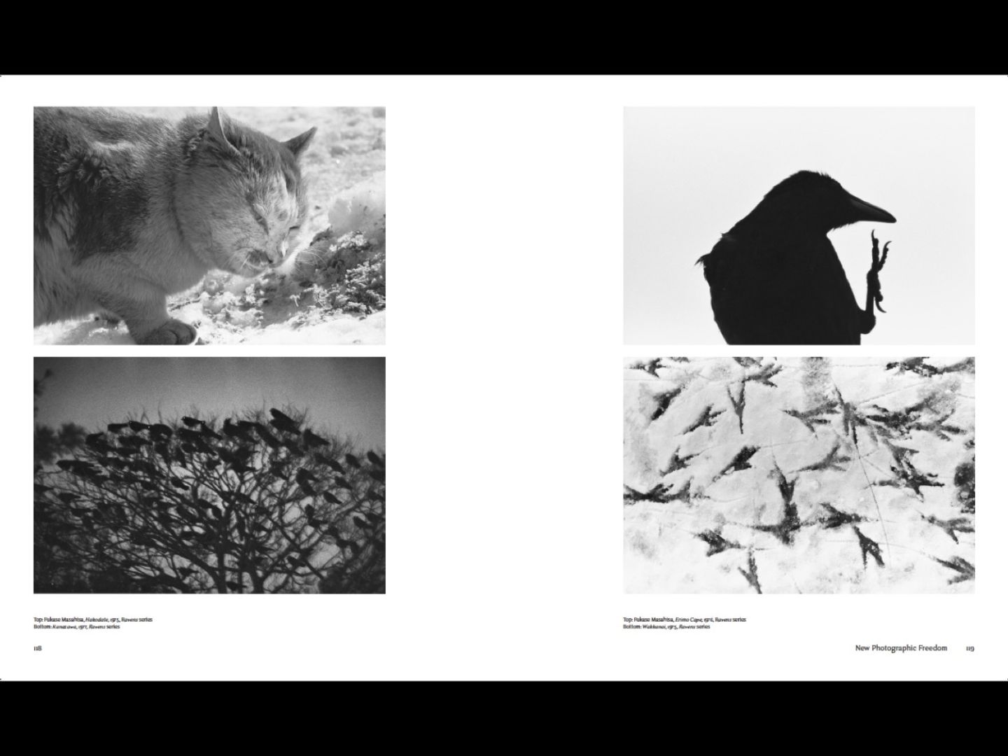 Lena Fritsch – Ravens & Red Lipstick – Japanese Photography since 1945 – signiert